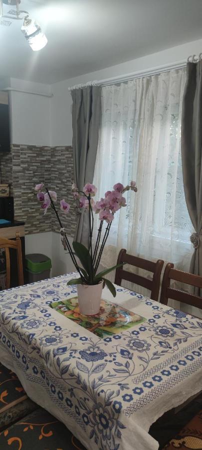 Casa M Appartement Câmpulung Moldovenesc Buitenkant foto
